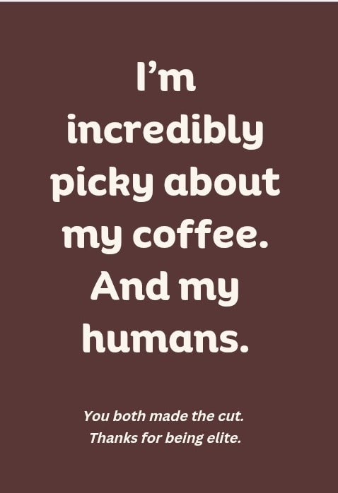 Pour yourself some coffee, put on some music, and pretend you know what you're doing. You've got this. (And if you don't, have another cup).