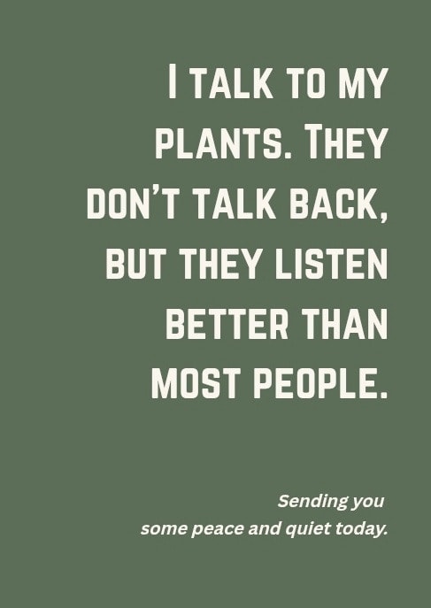 Rooted — Premium greeting cards for plant lovers, growth milestones and rare specimens.